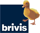 Brivis